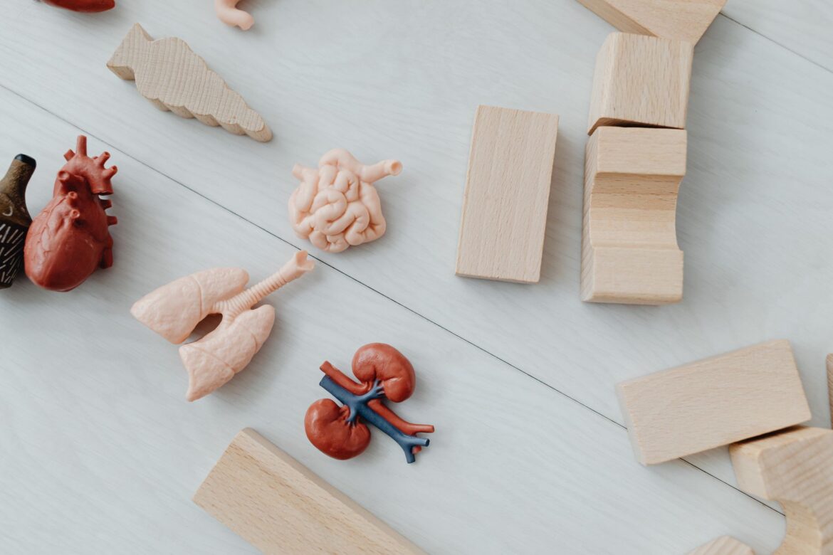 Bronchiectasis Charities: A UK Guide to Support, Funding and Local Community Help - ilustracja artykulu