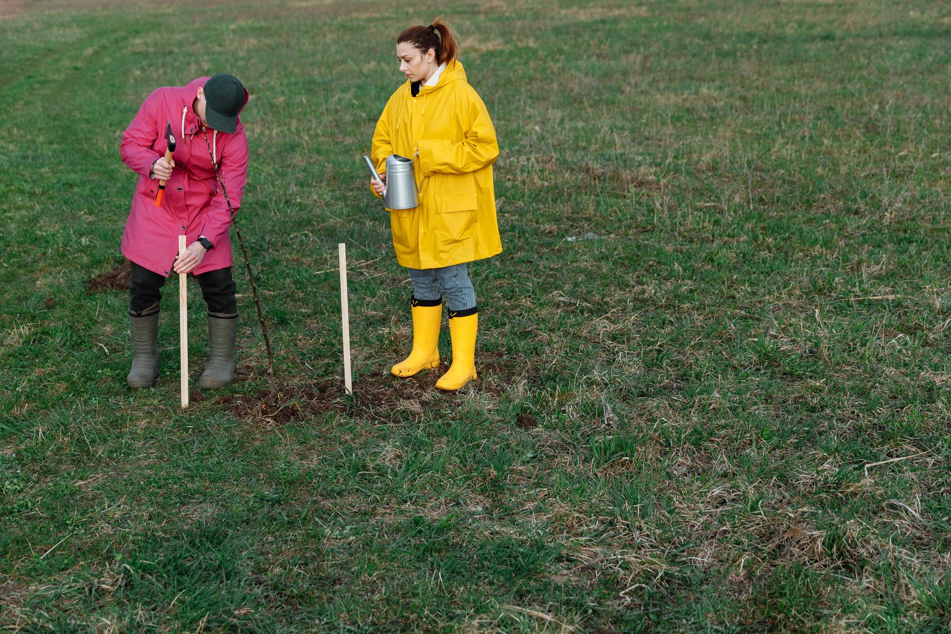 Ilustracja: Community Gardens UK: How to Find, Join and Grow on a S Community Gardens UK: How to Find, Join and Grow on a Shared Plot - zdjecie w tresci